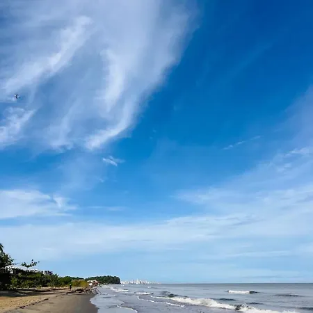 Hermoso Y Acogedor Monoambiente *