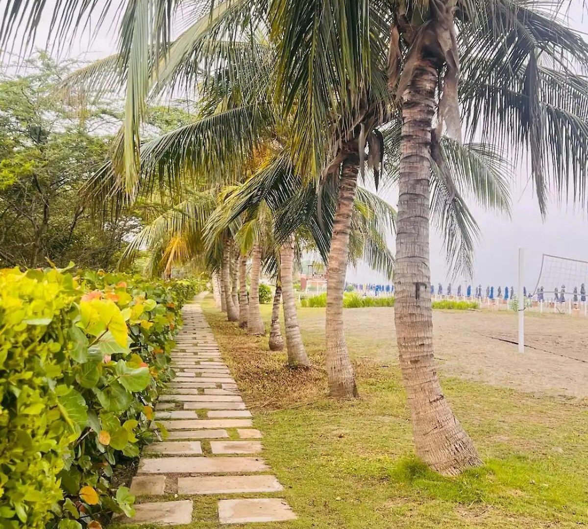 Hermoso Y Acogedor Monoambiente Cartagena