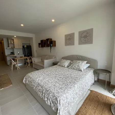 Hermoso Y Acogedor Monoambiente Apartment
